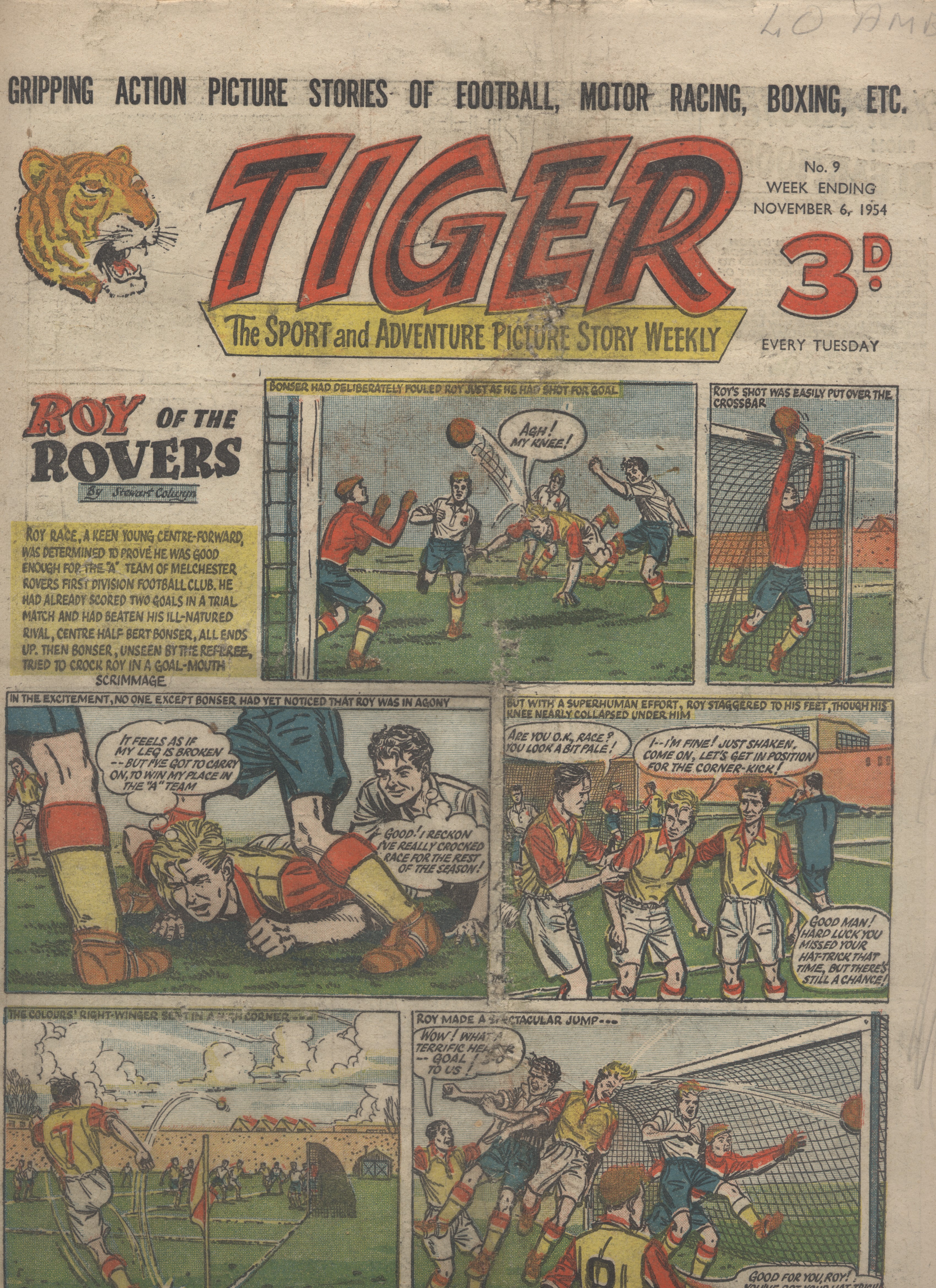Tiger